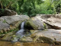  Agricultural Land for Sale in Anaikatti, Coimbatore