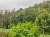  Agricultural Land for Sale in Agali, Palakkad