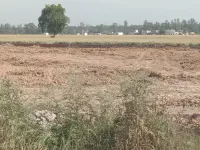  Industrial Land for Sale in Pipli, Kurukshetra