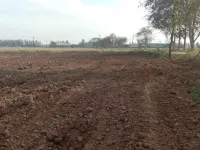  Agricultural Land for Sale in Pipli, Kurukshetra