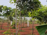  Agricultural Land for Sale in Melmaruvathur, Chennai