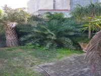 4 BHK House for Sale in Pakhowal Road, Ludhiana