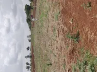  Agricultural Land for Sale in Pudur, Rangareddy