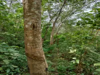 Agricultural Land for Sale in Enmakaje, Kasaragod