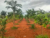  Agricultural Land for Sale in Ecr To Marakanam Road, Chennai