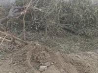  Residential Plot for Sale in Itarana, Alwar