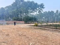  Residential Plot for Sale in Ganeshpur, Dehradun