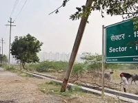 Residential Plot for Sale in Yamuna Expressway, Greater Noida