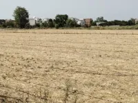  Agricultural Land for Sale in Lucknow Faizabad Highway