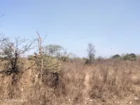  Agricultural Land for Sale in Butibori, Nagpur