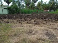  Residential Plot for Sale in Amalapuram, East Godavari