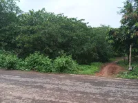  Industrial Land for Sale in Prathipadu, East Godavari