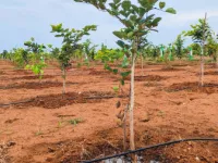 Agricultural Land for Sale in East Coast Road, Chennai