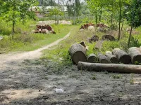  Residential Plot for Sale in Raiganj, Uttar Dinajpur