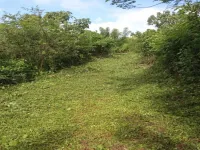  Agricultural Land for Sale in Parappa, Kasaragod