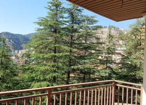 2 BHK Flat for Sale in Panthaghati, Shimla