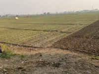  Residential Plot for Sale in Deedarganj, Patna