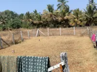  Residential Plot for Sale in Chinnamanur, Theni