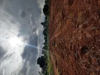  Agricultural Land for Sale in Denkanikottai, Hosur