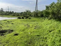  Agricultural Land for Sale in Chirle, Navi Mumbai