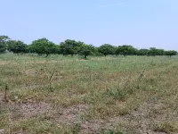  Agricultural Land for Sale in Kayavarohan, Vadodara