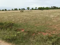  Residential Plot for Sale in Annur, Coimbatore