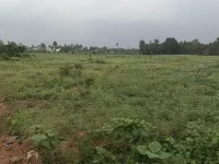 Residential Plot for Sale in Kovilpalayam, Coimbatore