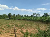 1 BHK Farm House for Sale in Sirumugai, Coimbatore
