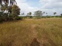  Agricultural Land for Sale in Pallapalayam, Erode