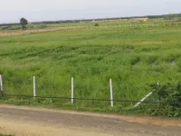  3 Acre Agricultural/Farm Land for Sale in Ponneri, Thiruvallur