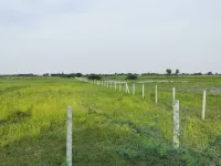  3 Acre Agricultural/Farm Land for Sale in Ponneri, Thiruvallur
