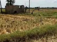  Agricultural Land for Sale in Thirukattupalli, Thanjavur