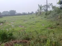  Agricultural Land for Sale in Bhongir, Yadadri Bhuvanagiri