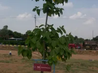 Residential Plot for Sale in Champapet, Hyderabad