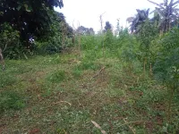  Agricultural Land for Sale in 8th Mile, Kalimpong