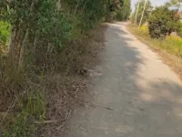 Agricultural Land for Sale in Afzalgarh, Bijnor