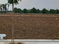  Residential Plot for Sale in Denkada, Vizianagaram