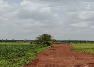 Residential Plot for Sale in Zaheerabad, Sangareddy