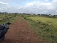  Residential Plot for Sale in Aiginia, Bhubaneswar