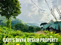  Hotels for Sale in Thekkady, Idukki