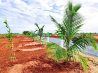  Agricultural Land for Sale in Medavakkam, Chennai