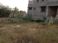  Agricultural Land for Sale in Surakottai, Thanjavur