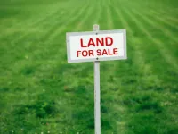 Agricultural Land for Sale in Pandwala Kalan, Delhi