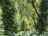  Agricultural Land for Sale in Kattappana, Idukki