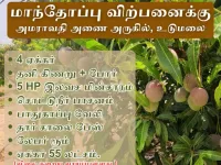  Agricultural Land for Sale in Udumalaipettai, Tirupur