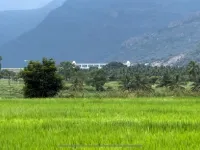  Agricultural Land for Sale in Udumalaipettai, Tirupur