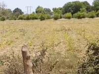  Agricultural Land for Sale in Padra, Vadodara