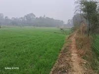  Agricultural Land for Sale in Qaziyara, Sitapur