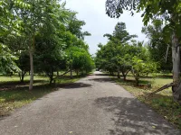  Agricultural Land for Sale in Puliampatti, Coimbatore