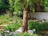  Residential Plot for Sale in Nanjikottai, Thanjavur